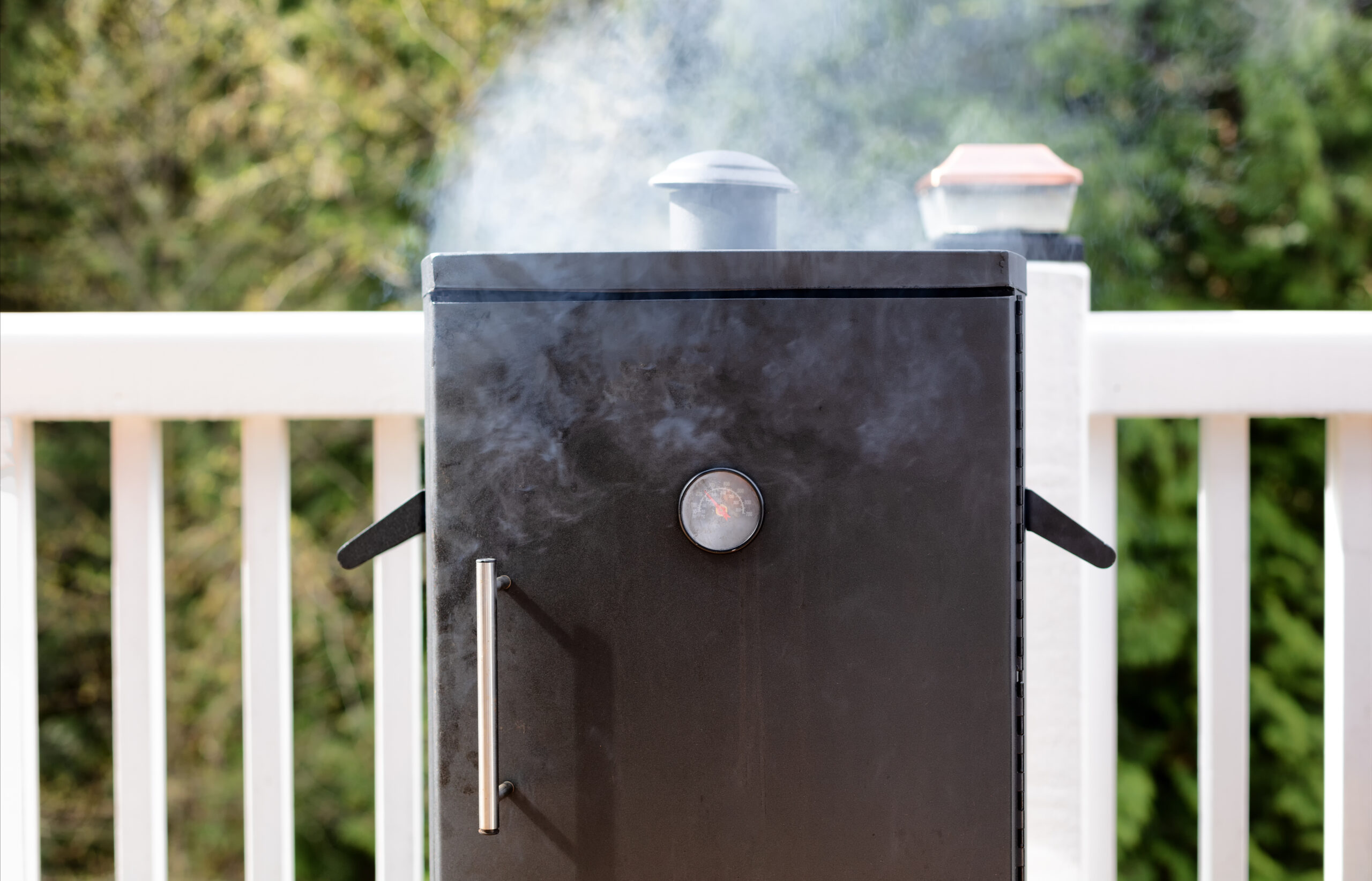 Read more about the article Propane Smokers