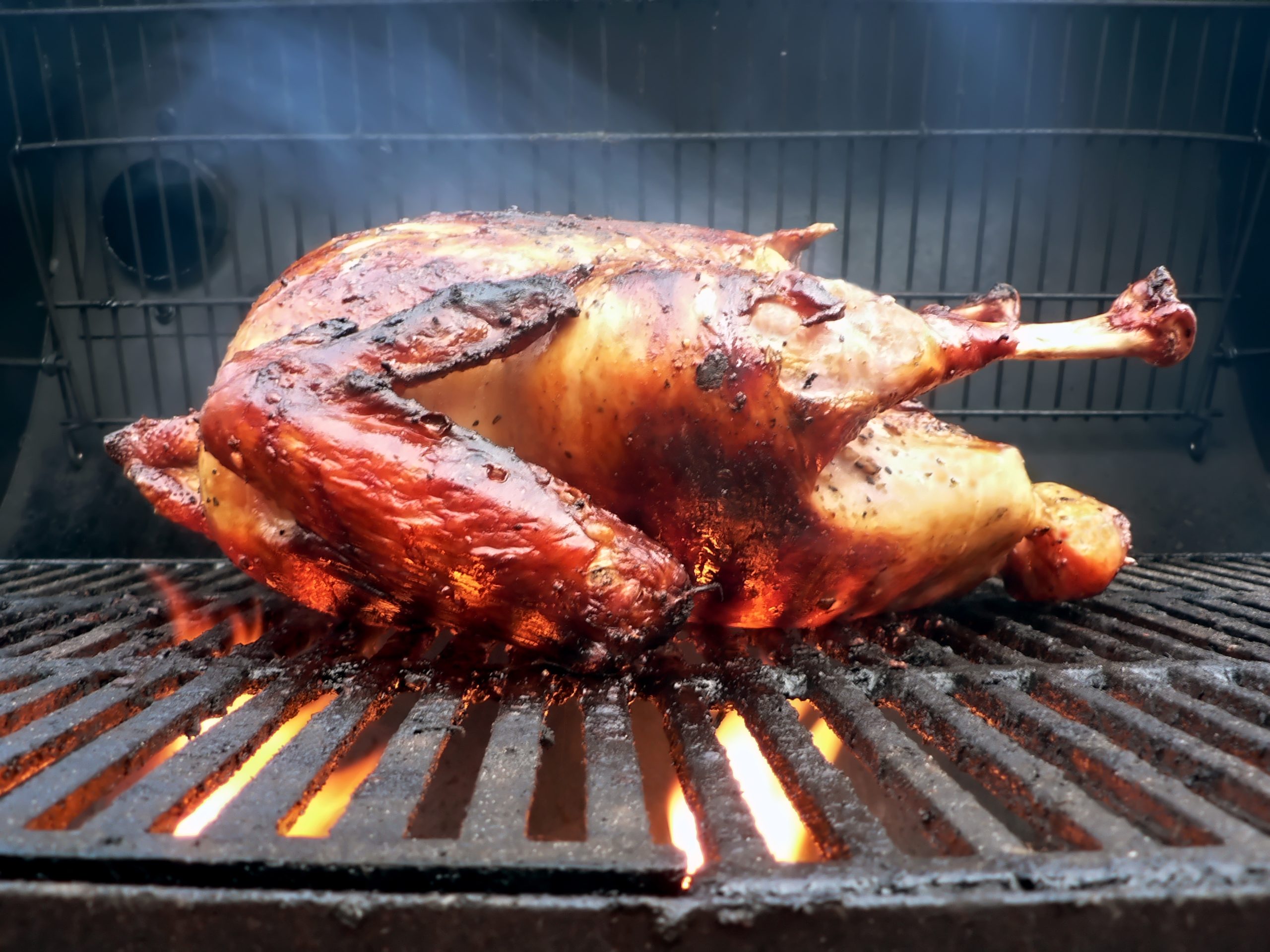 Read more about the article Grilled Turkey