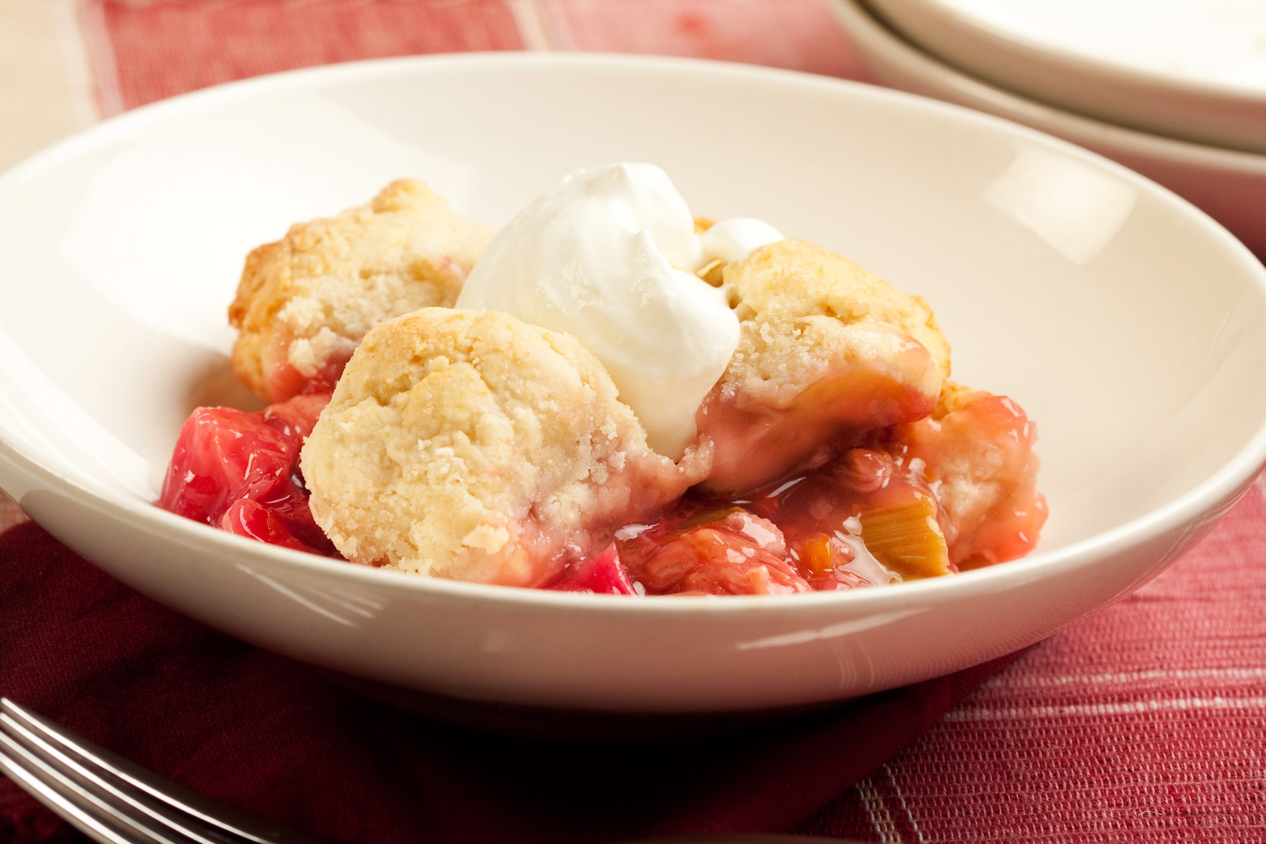 Read more about the article Grilled Rhubarb Cobbler